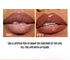 Black Brown Tapered Lip Liner Contour Pencil Double Head Mirror Plumping Lip Glaze Crystal Lip Gloss Sexy Red Lips Tint Makeup