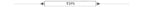 Women's Runway Cotton Retro Vintage Skirt Black Faldas High Waist A Line Rockabilly Jupe 50s Swing Umbrella Skirts Pin Up Skater