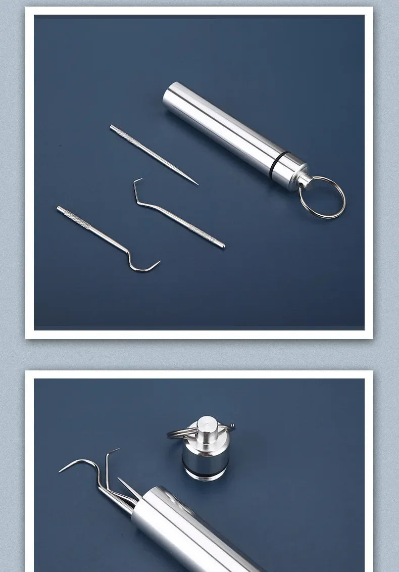 Stainless Steel Toothpick Set Reusable Toothpicks Tooth Flossing Tartar Removal Tool Portable Teeth Cleaner for Tooth Oral Clean