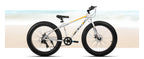 Hiland 20 Inch Kids' Bicycles Fat Tire Mountain Bike for  Age 5 + Years, Shimano 7-Speed, Dual-Disc Brake,Kids BeachBicycle
