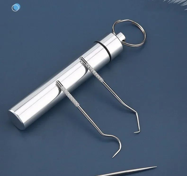 Stainless Steel Toothpick Set Reusable Toothpicks Tooth Flossing Tartar Removal Tool Portable Teeth Cleaner for Tooth Oral Clean