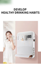 TY-LDR1738W Pipeline Machine Wall-mounted Household Icy&warm&hot Instant Hot Water Dispenser 2200W