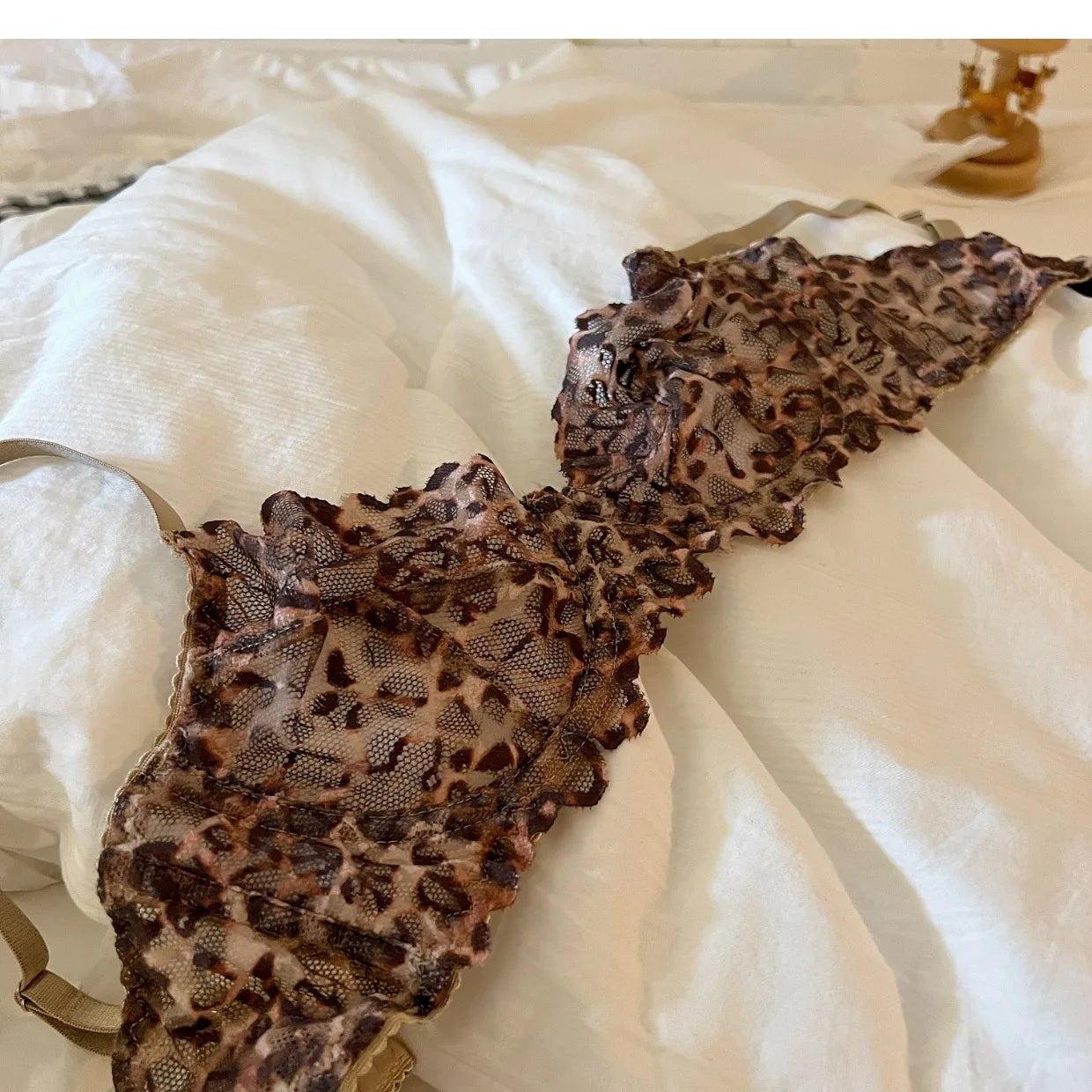 French Sexy Underwear Thin Leopard Print Transparent Lingerie Comfortable Women's Gathered Underwire see through bra Set Thong