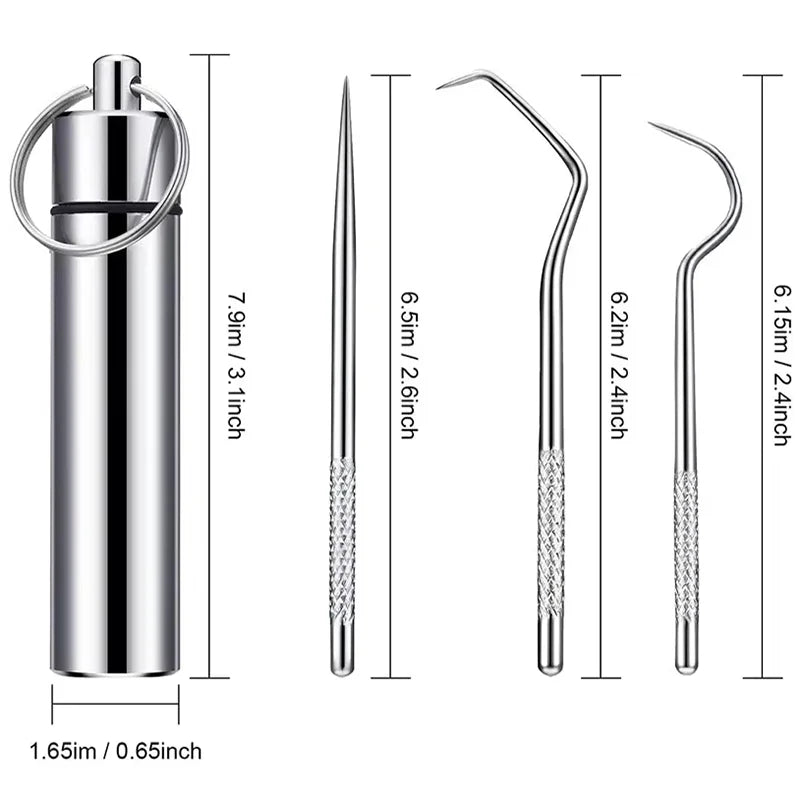 Stainless Steel Toothpick Set Reusable Toothpicks Tooth Flossing Tartar Removal Tool Portable Teeth Cleaner for Tooth Oral Clean