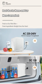 Mirror Car Refrigerator Home Small Fridge Mask For Makeup Cosmetics Home Refrigerator Cooling With LED Light Refrigerator For Makeup 4L/6L EU