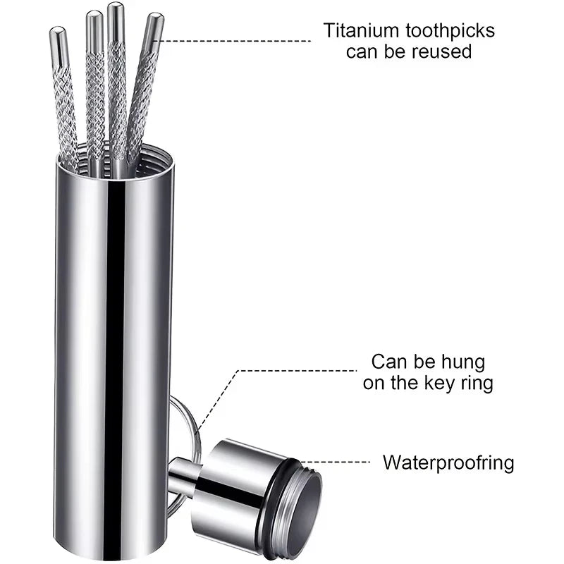 Stainless Steel Toothpick Set Reusable Toothpicks Tooth Flossing Tartar Removal Tool Portable Teeth Cleaner for Tooth Oral Clean