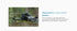 [EU STOCK] DJI Mini 5 Pro Ultra-Light & Foldable Drone with Camera 1-Inch CMOS Omnidirectional Obstacle Sensing ActiveTrack 360° 225° Gimbal Rotation 20km Transmission 4K Drone for Beginners C0